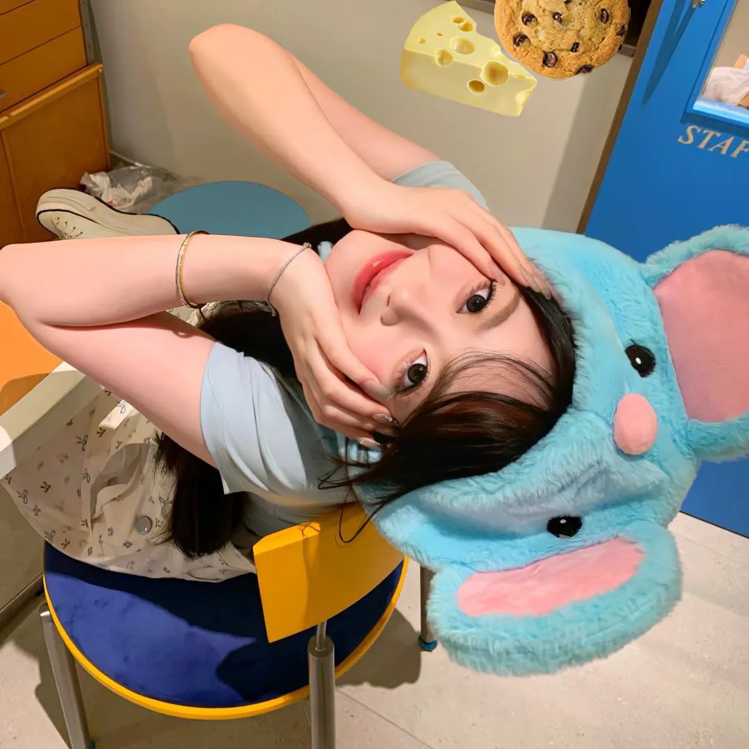 沙漠活宝